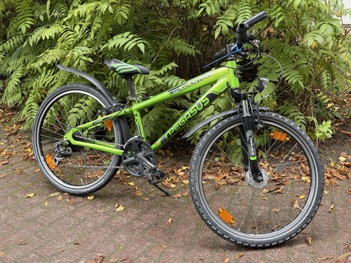 Pegasus avanti mountainbike - avanti, 24