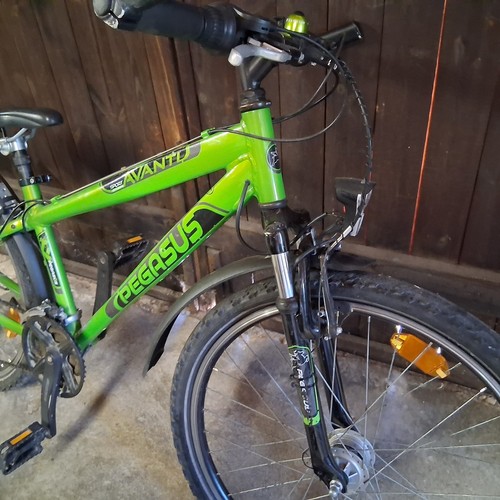 Pegasus fahrrad dunkel grün - fahrrad,
