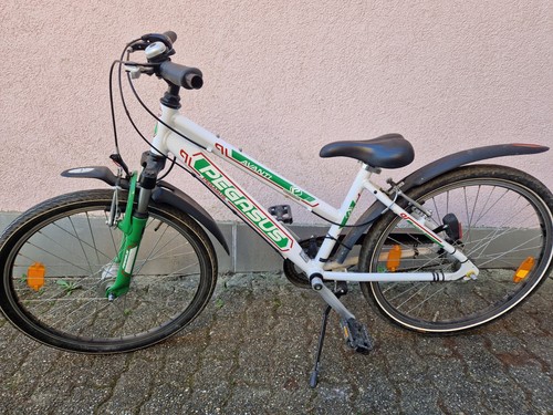 Fahrrad zoll pegasus - 24,
