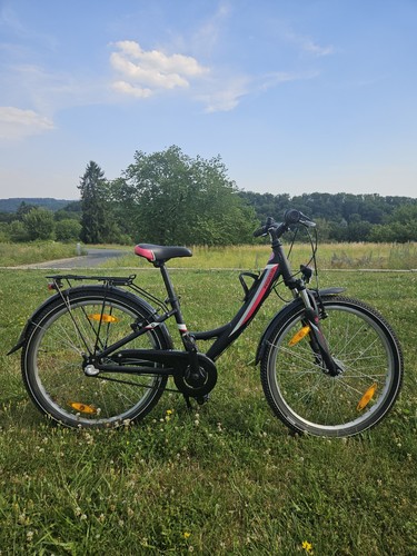Fahrad pegasus zoll - fahrad, 24