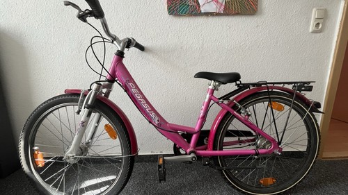 Pegasus kinderfahrrad mit - pegasus,