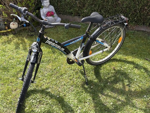 Pegasus arcona kinderfahrrad - pegasus,