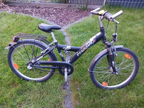 Pegasus fahrrad zoll - fahrrad, 24