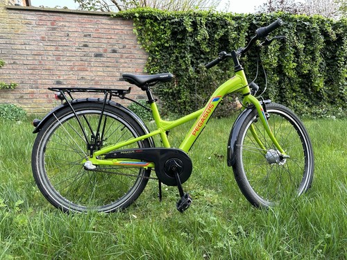 Pegasus kinderfahrrad zoll - pegasus,