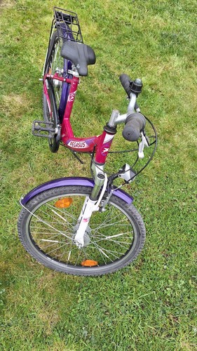 Kinderfahrrad pegasus sante - pegasus, 24