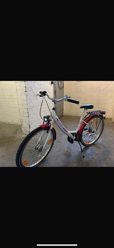 Pegasus fahrrad - pegasus,